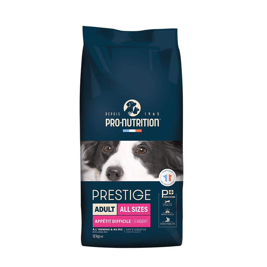 Prestige Adult All Sizes Exigent 3kg / 12kg