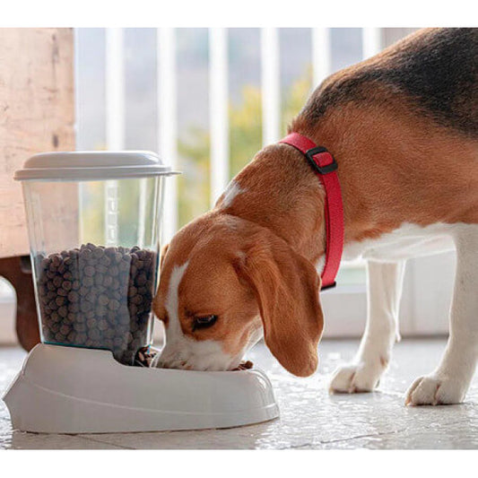 Ferplast ταίστρα zenith 1.5lt Petit Palace