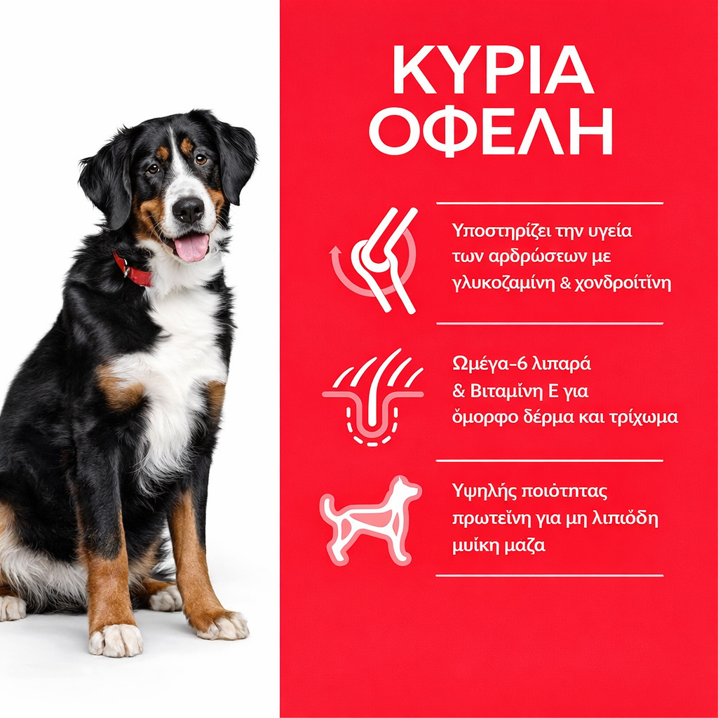 Hill's Science Plan Adult Large Breed για Σκύλους με Κοτόπουλο 14kg Petit Palace