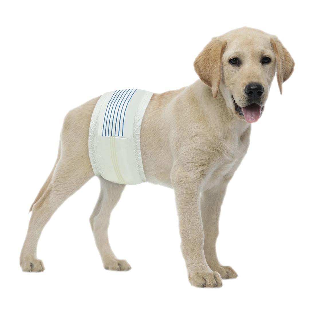 Πάνες για Αρσενικούς Σκύλους 20 τμχ 19-37cm | Diapers for Male Dogs 20 pieces 19-37cm Petit Palace