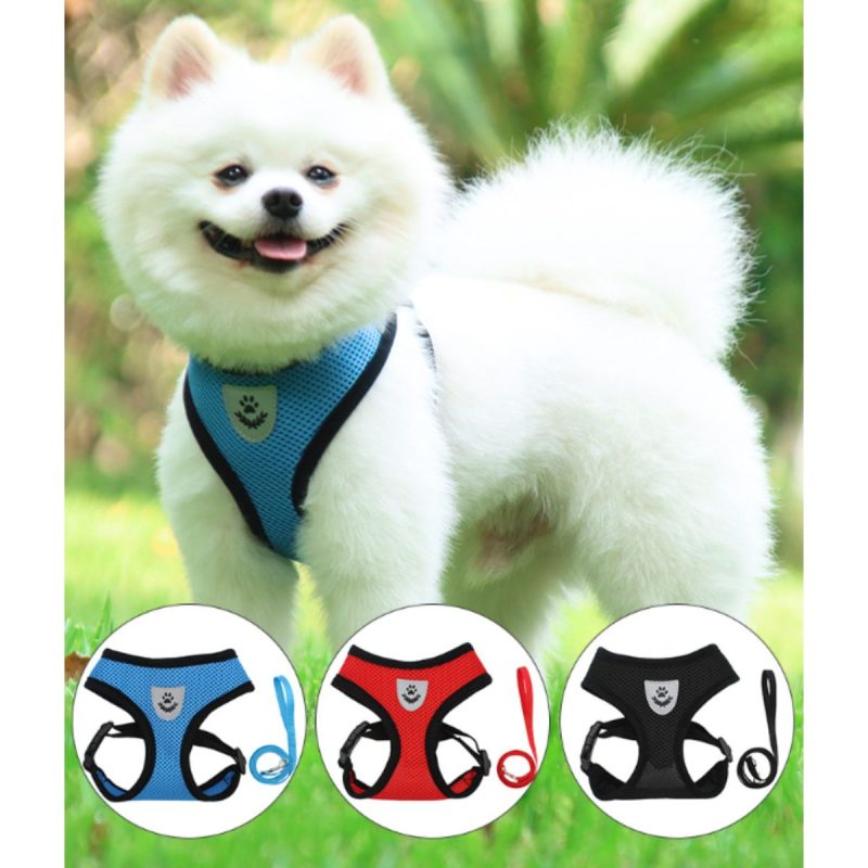 Αθλητικό Σαμάρι Κατοικίδιου με οδηγό | Pet Sports Harness with Handle Petit Palace