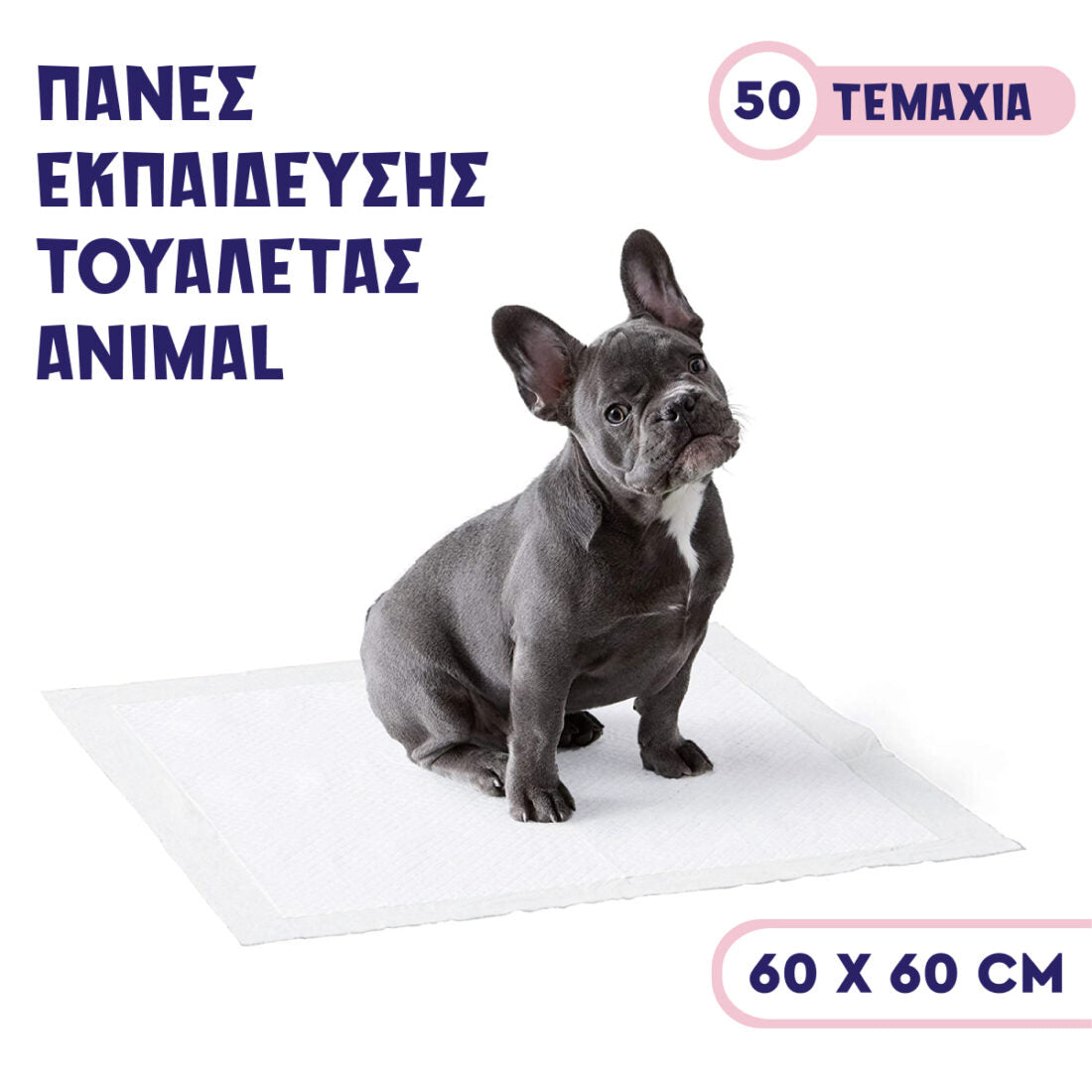 50 τμχ Πάνες Εκπαίδευσης 60x60cm Petit Palace