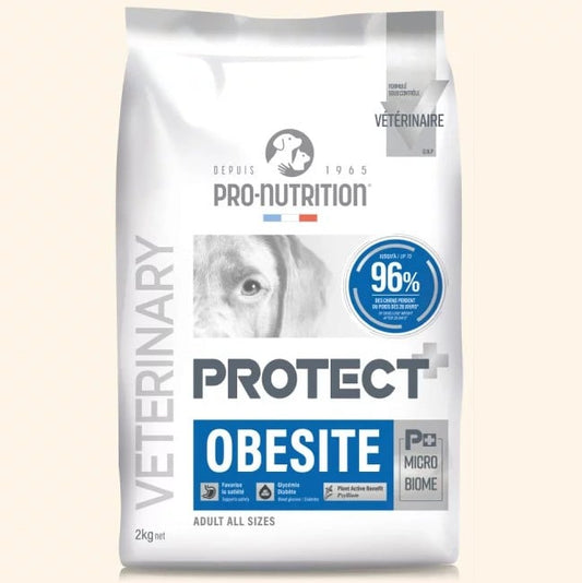 Flatazor Protect Obesite Dog 2kg / 12+2kg | Κατάλληλο για παχυσαρκία Petit Palace