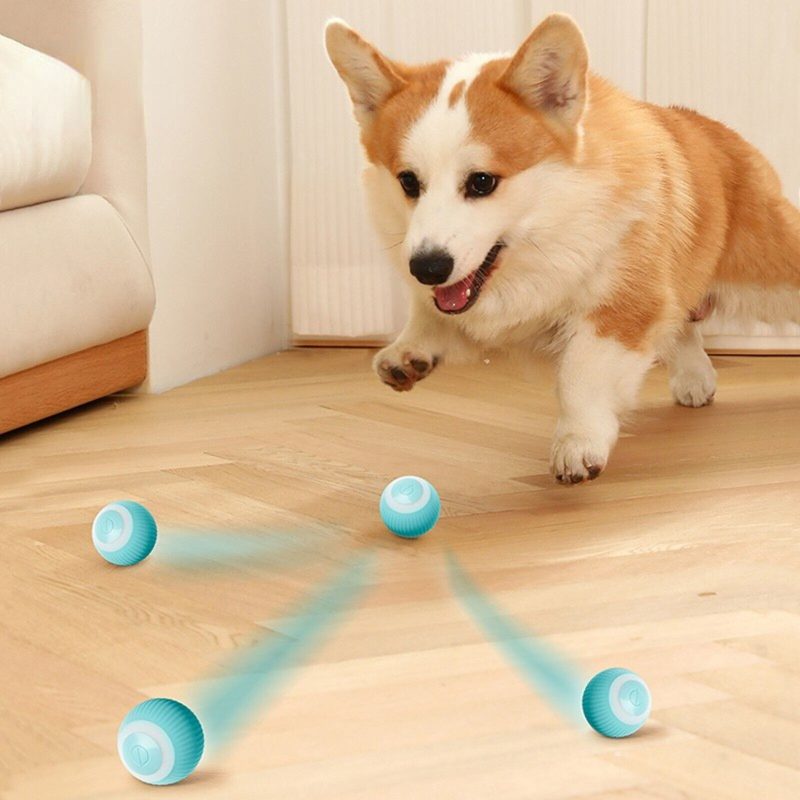 Smart Ball That Moves on Its Own (4cm diam.) - Auto Scroll & Rotate Petit Palace