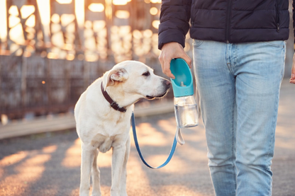 Φορητό Μπουκάλι Νερού Ταξιδιού για Κατοικίδια Petit Palace