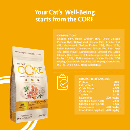Wellness Core Sterilized Κοτόπουλο & Γαλοπούλα 0.3kg | Ξηρά Τροφή χωρίς Σιτηρά & Γλουτένη για Ενήλικες Στειρωμένες Γάτες με Κοτόπουλο / Γαλοπούλα 0.3kg