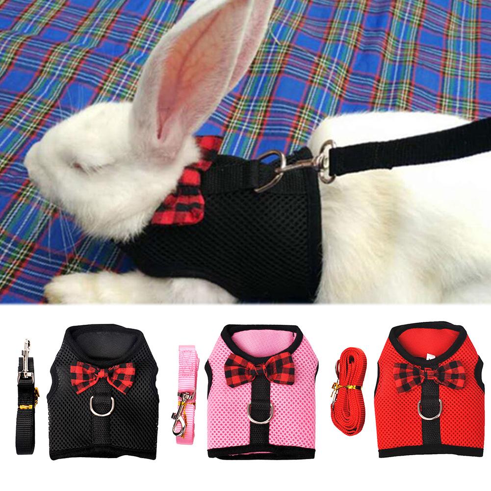 Rabbit Vest-Style Breathable Mesh Chest Harness Traction Rope