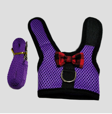 Rabbit Vest-Style Breathable Mesh Chest Harness Traction Rope