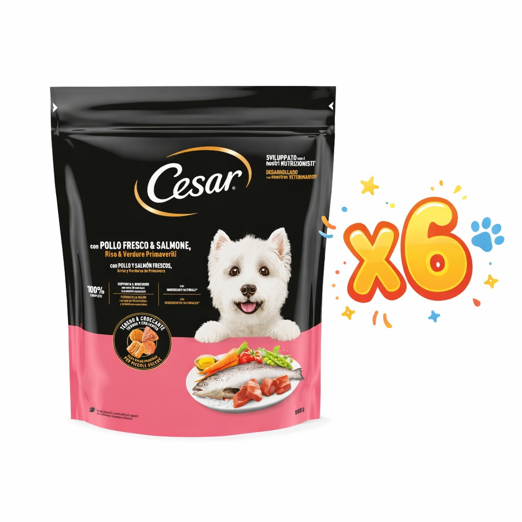 CESAR Κοτόπουλο Σολωμός Λαχανικά 800gr Petit Palace