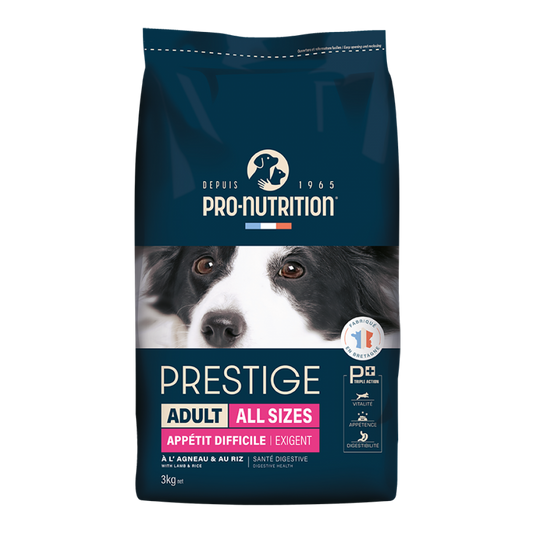 Prestige Adult All Sizes Exigent 3kg / 12kg