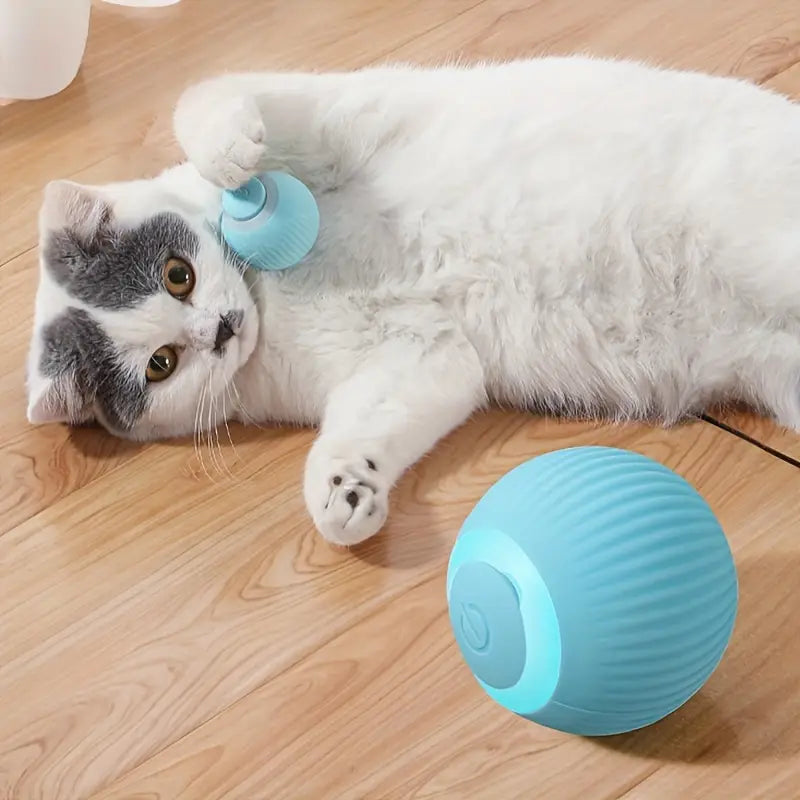 SMART Electric Ball - Petit Palace