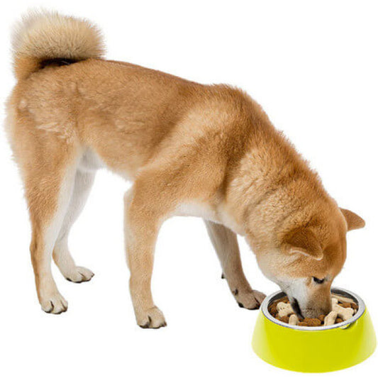 Ferplast jolie green bowl |  Μπολ φαγητού Petit Palace