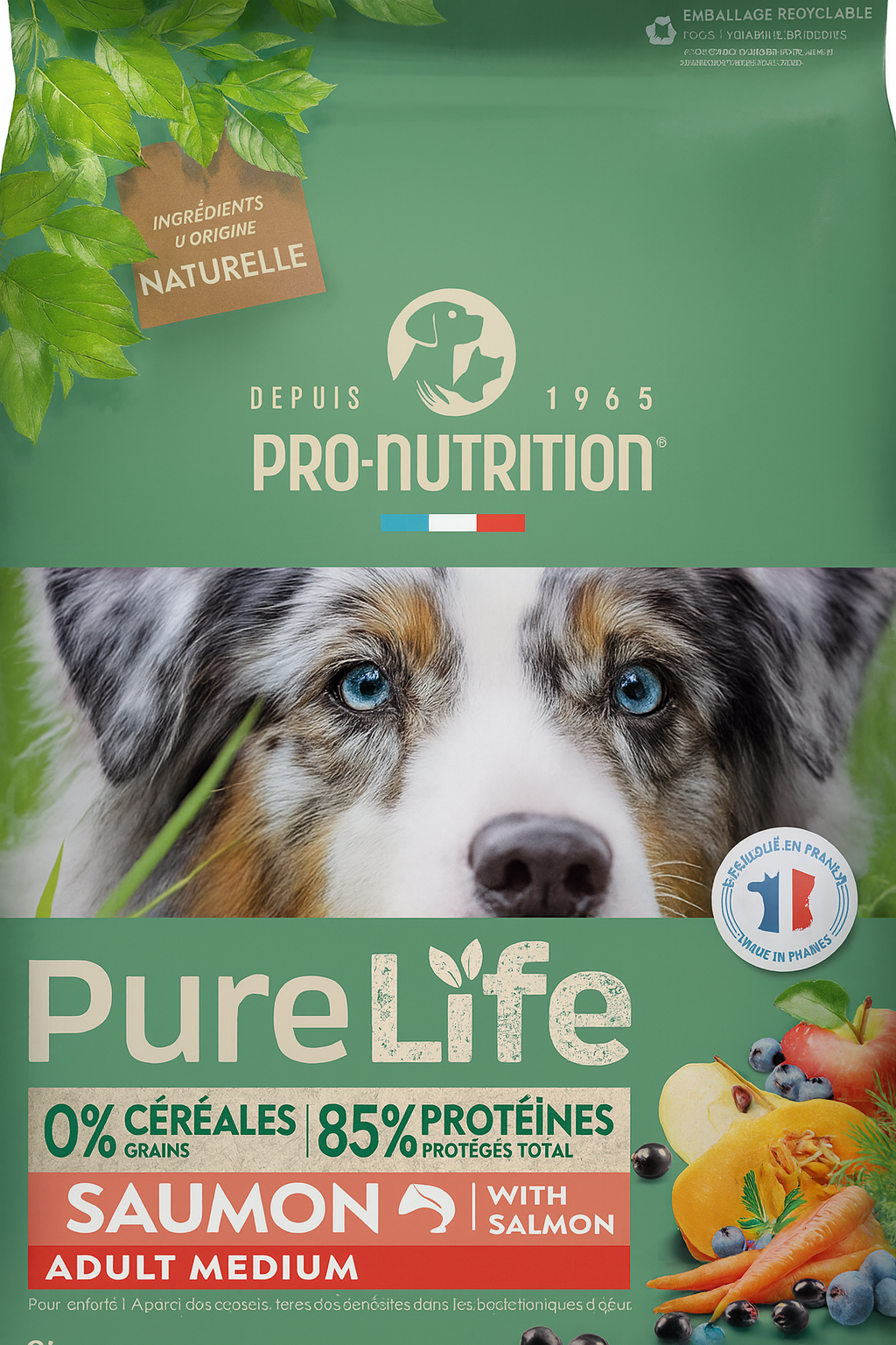 Pro-Nutrition PureLife Dog Adult Medium Salmon Grain Free με Σολομό για Ενήλικους Μεσαίου Μεγέθους Σκύλους Petit Palace