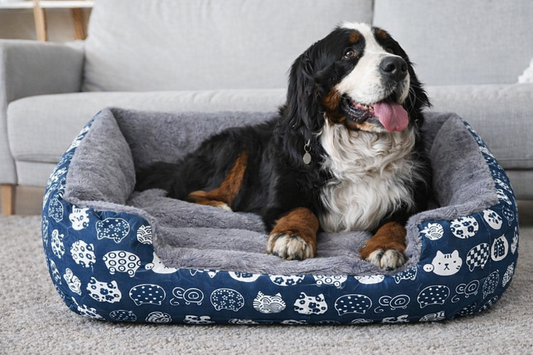 Απαλό Στρώμα Κατοικίδιων με Μπλε Σχέδιο Πατούσας | Soft Pet Mattress with Blue Paw Print 80x60cm Petit Palace