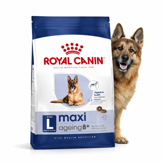Royal Canin MAXI AGEING age 8+ 3kg | Για ηλικιωμένους σκύλους μεγάλου μεγέθους φυλών (από 26 έως 44 kg) – Άνω των 8 ετών Petit Palace