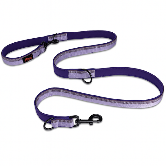 Company of animals Μωβ εκπαιδευτικός οδηγός sml Μ 2m x Π 1.5cm Petit Palace