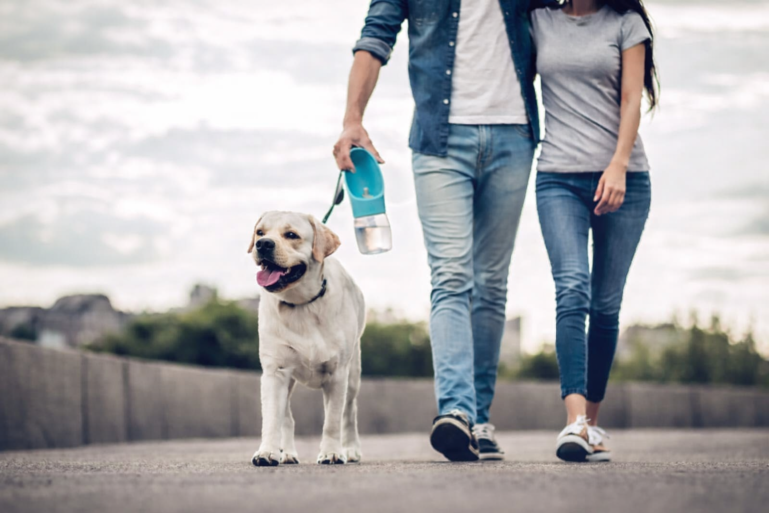 Φορητό Μπουκάλι Νερού Ταξιδιού για Κατοικίδια Petit Palace