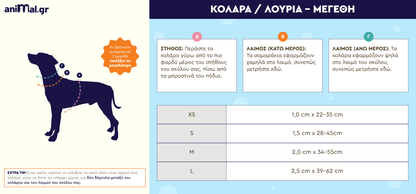 Σετ Κολάρο Και Λουρί Μεγέθη: S-M-L-XL ( Σε 3 χρώματα ) | Collar And Leash Set Sizes: S-M-L-XL ( In 3 colors )