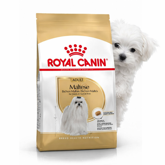 Royal Canin Maltese Adult 1.5kg Petit Palace
