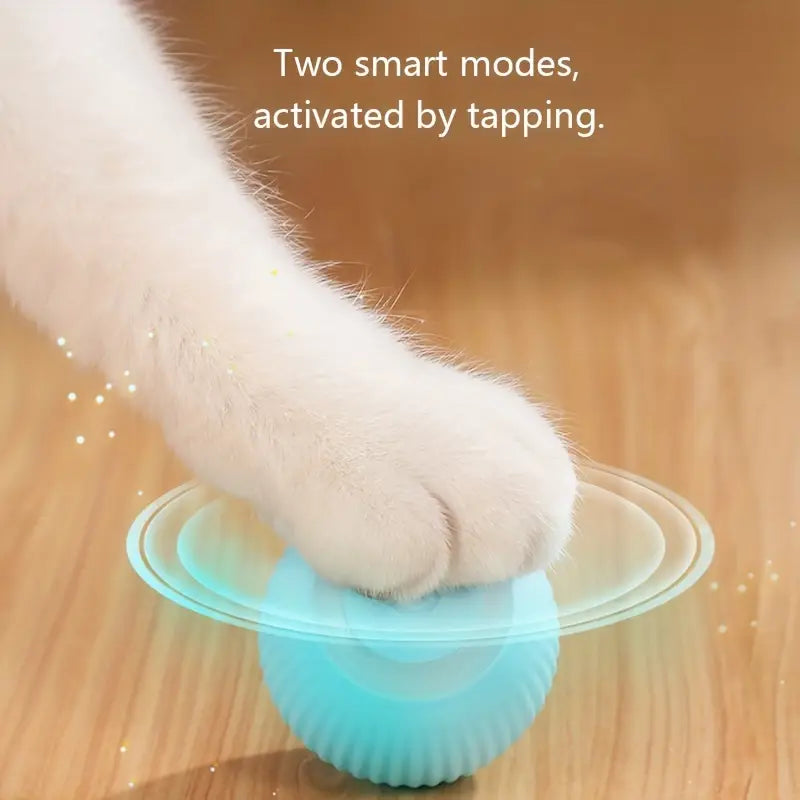 SMART Electric Ball - Petit Palace