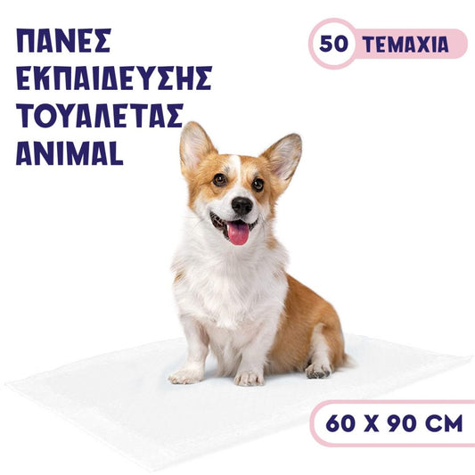 50τμχ Πάνες Εκπαίδευσης 60×90cm  | Training Diapers 60×90cm 50pieces