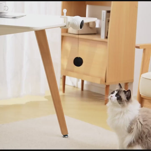 Διαδραστικό Παιχνίδι με Αυτοκινούμενη Μπάλα