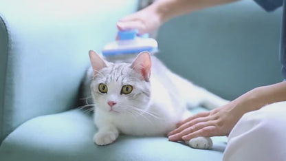 Χτένα Μασάζ Κατοικίδιων με Κουμπί Αφαίρεσης Τριχών – Βούρτσα Περιποίησης & Αποτρίχωσης για Σκύλους και Γάτες