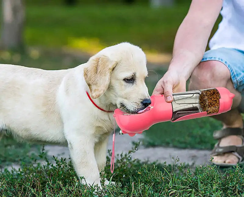 Pet Feeder Pocket Bottle